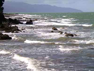 Pacific Highway an der K&uuml;ste  von  Coromandel